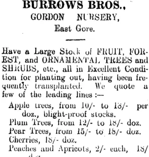 Page 2 Advertisements Column 2 (Clutha Leader 17-8-1906)