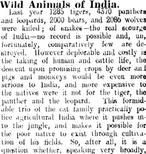 Wild Animals of India. (Clutha Leader 12-1-1906)