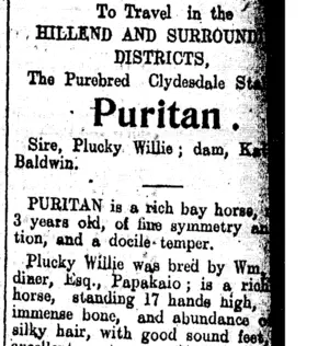 Page 7 Advertisements Column 6 (Clutha Leader 6-11-1906)