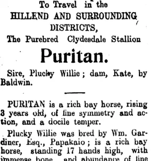 Page 2 Advertisements Column 1 (Clutha Leader 7-12-1906)