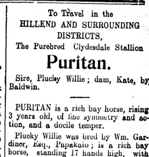 Page 7 Advertisements Column 4 (Clutha Leader 11-12-1906)