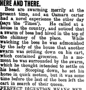 HERE AND THERE. (Clutha Leader 10-1-1908)