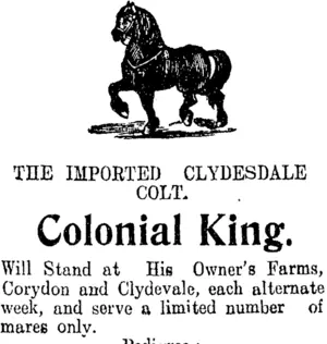 Page 8 Advertisements Column 5 (Clutha Leader 20-10-1908)