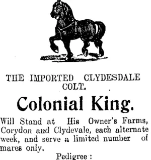 Page 8 Advertisements Column 5 (Clutha Leader 23-10-1908)