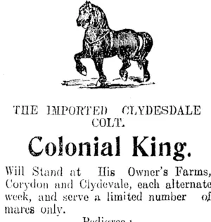 Page 8 Advertisements Column 5 (Clutha Leader 27-10-1908)