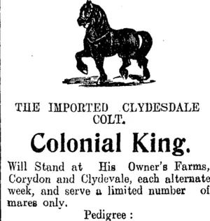 Page 8 Advertisements Column 4 (Clutha Leader 30-10-1908)