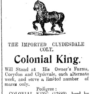 Page 8 Advertisements Column 4 (Clutha Leader 3-11-1908)