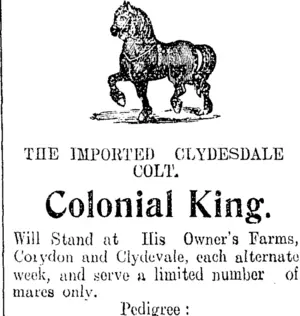 Page 8 Advertisements Column 5 (Clutha Leader 10-11-1908)