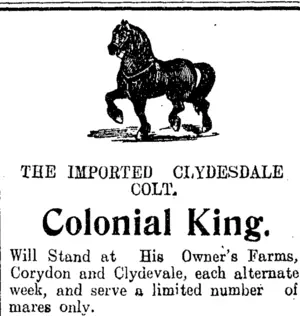 Page 8 Advertisements Column 4 (Clutha Leader 17-11-1908)