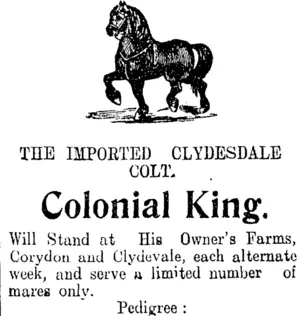 Page 8 Advertisements Column 2 (Clutha Leader 20-11-1908)