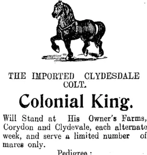 Page 8 Advertisements Column 2 (Clutha Leader 24-11-1908)