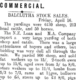 COMMERCIAL. (Clutha Leader 20-4-1909)