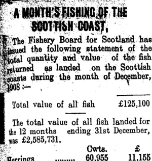 A MONTH'S FISHING OF THE SCOTTISH COAST. (Clutha Leader 25-6-1909)