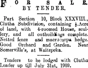 Page 4 Advertisements Column 6 (Clutha Leader 13-7-1909)