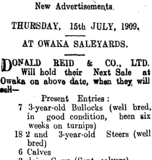 Page 4 Advertisements Column 1 (Clutha Leader 13-7-1909)