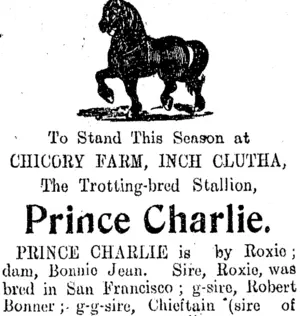 Page 2 Advertisements Column 3 (Clutha Leader 19-11-1909)
