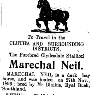 Page 3 Advertisements Column 3 (Clutha Leader 14-10-1910)