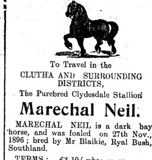 Page 3 Advertisements Column 4 (Clutha Leader 18-10-1910)