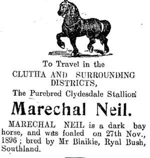 Page 6 Advertisements Column 3 (Clutha Leader 28-10-1910)