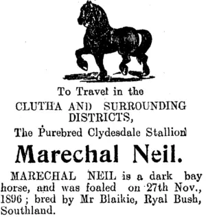 Page 2 Advertisements Column 2 (Clutha Leader 4-11-1910)