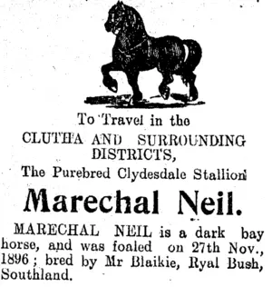 Page 3 Advertisements Column 2 (Clutha Leader 8-11-1910)