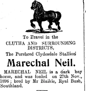 Page 6 Advertisements Column 2 (Clutha Leader 11-11-1910)
