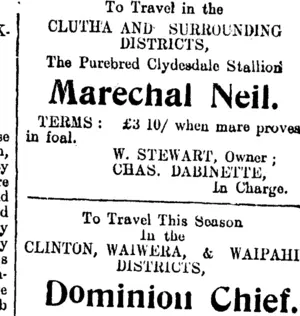 Page 3 Advertisements Column 4 (Clutha Leader 9-12-1910)