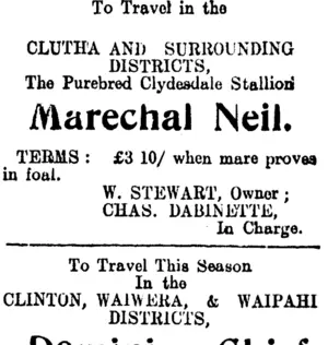 Page 3 Advertisements Column 4 (Clutha Leader 16-12-1910)