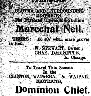 Page 2 Advertisements Column 1 (Clutha Leader 20-12-1910)