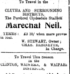 Page 6 Advertisements Column 3 (Clutha Leader 30-12-1910)