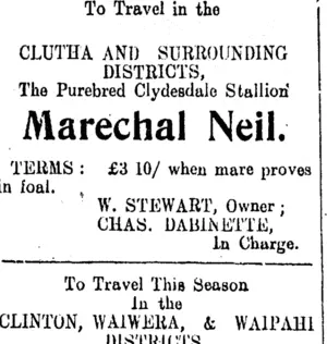 Page 6 Advertisements Column 3 (Clutha Leader 13-1-1911)