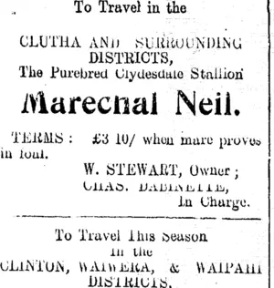 Page 7 Advertisements Column 2 (Clutha Leader 17-1-1911)