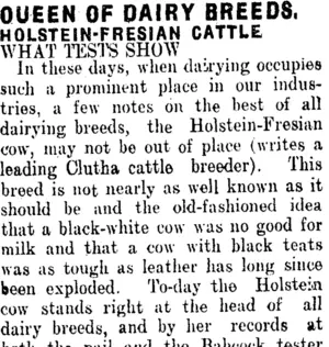 QUEEN OF DAIRY BREEDS. (Clutha Leader 3-5-1912)