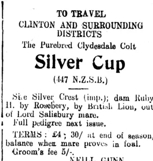 Page 3 Advertisements Column 3 (Clutha Leader 15-10-1912)
