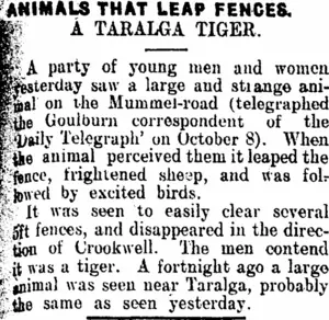 ANIMALS THAT LEAP FENCES. (Clutha Leader 29-10-1912)