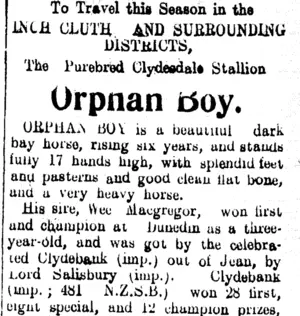 Page 3 Advertisements Column 4 (Clutha Leader 19-11-1912)