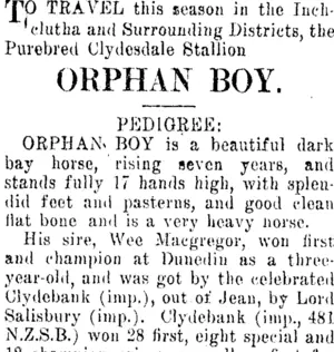 Page 6 Advertisements Column 3 (Clutha Leader 19-9-1913)