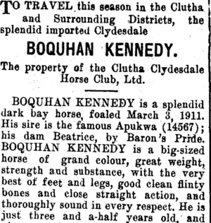 Page 2 Advertisements Column 2 (Clutha Leader 16-10-1914)