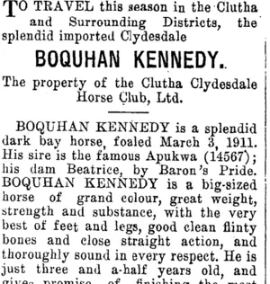 Page 7 Advertisements Column 3 (Clutha Leader 30-10-1914)