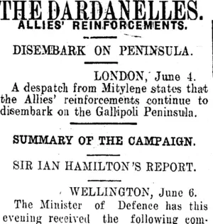 THE DARDANELLES. (Clutha Leader 8-6-1915)