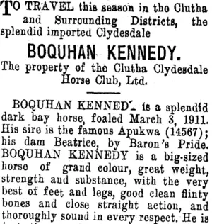 Page 8 Advertisements Column 3 (Clutha Leader 8-1-1915)