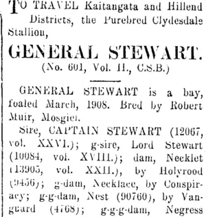 Page 2 Advertisements Column 2 (Clutha Leader 18-1-1916)