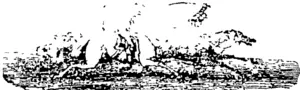 Untitled Illustration (Daily Southern Cross, 01 April 1856)