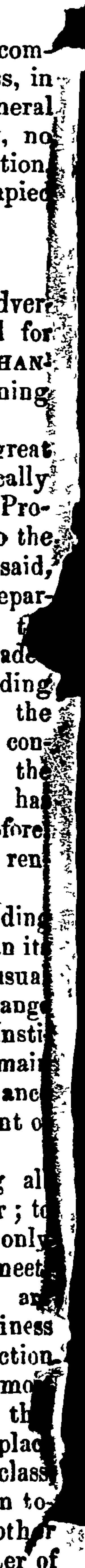 Untitled Illustration (Daily Southern Cross, 11 November 1856)