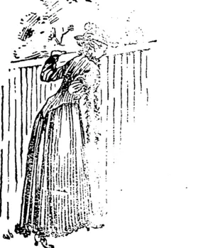 Untitled Illustration (Ellesmere Guardian, 09 November 1898)