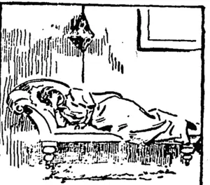 Untitled Illustration (Ellesmere Guardian, 04 March 1899)