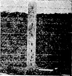 Figure 3. (Ellesmere Guardian, 03 November 1944)