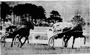 l-:; • ; • ■ .'■'■■ "Evening Post" Photo; The finish of the Introductory Handicap at 'Mult Park on Wednesday, showing Uiltisle scoring decisively from Franz Derby. It was Millisle's third win on end, and the Peter Moko gelding looks certain to further .augment his record in the future. , ."■.'■" (Evening Post, 20 April 1940)