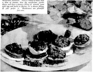 Mushroom savouries. First a round of toast, then a slice of tomato, then the mushroom, upside down, and then a savoury filling of minced meat with egg and herbs to flavour, or a cheese filling, if you prefer it. Mushrooms are plentiful just now. (Evening Post, 04 May 1940)