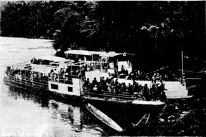 p '.', ;Tesla~ Studios .Photo. The Wanganui River steamer Ohura, which»capsized nearr Pvpirihi, with fatal i results. ! This picture was taken recently, whend-picnic ; , party was onboard. -■■-'■• "■•■•-,■■ * (Evening Post, 09 May 1940)